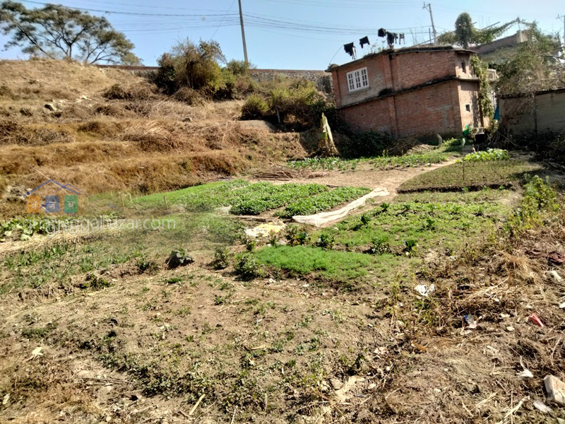Land on Sale at Bhaisepati Karyabinayak